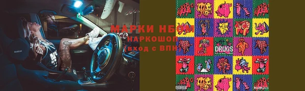 сатива Медногорск