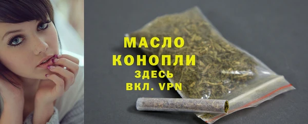 сатива Медногорск