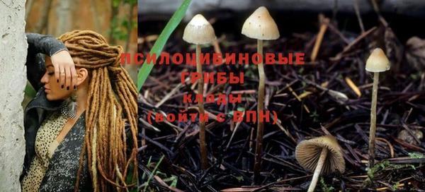 МДМА Мегион