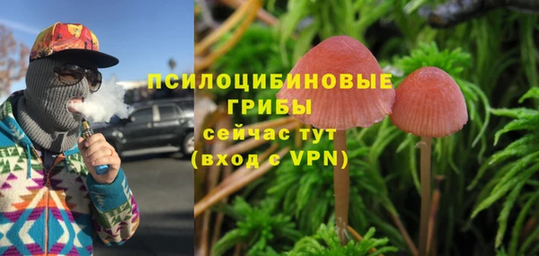МДМА Мегион