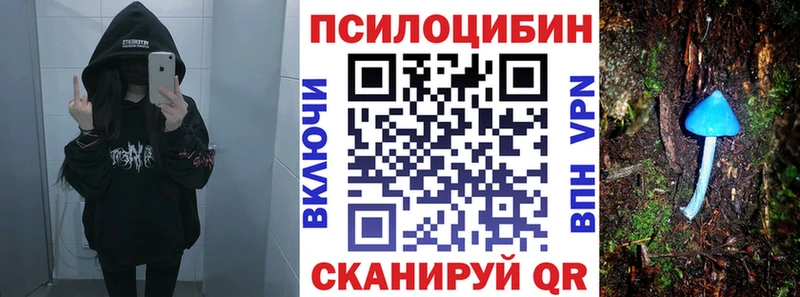 Псилоцибиновые грибы Cubensis  площадка телеграм  Цивильск 